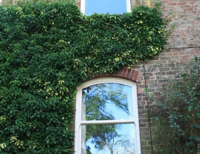 double glazed upvc tilt and turn window london 4